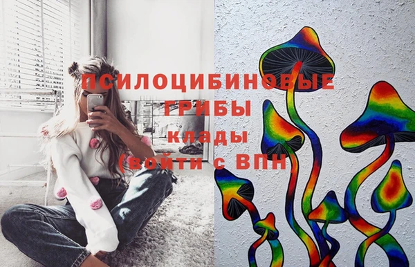мескалин Алексин