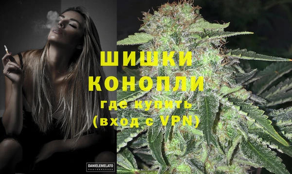 первитин Няндома