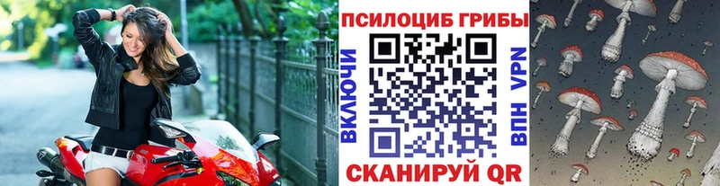 Псилоцибиновые грибы GOLDEN TEACHER  где купить   Раменское 