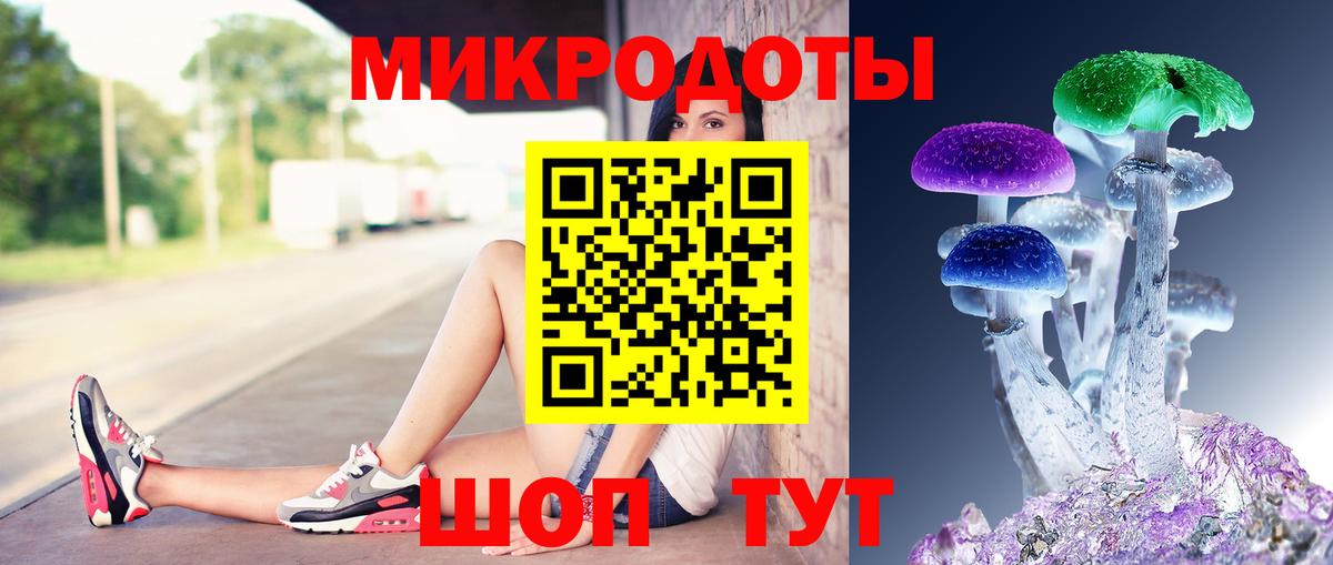 Псилоцибиновые грибы Cubensis Раменское