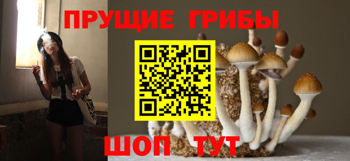 Псилоцибиновые грибы ЛСД  Галлюциногенные грибы Cubensis  Вход с VPN  Раменское 